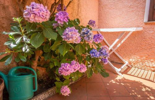 Appartamento Saline - Foto 15