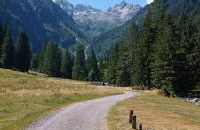 Mansarda Ossana - Foto 15