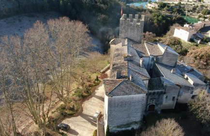 Château d'Esparron - Foto 3