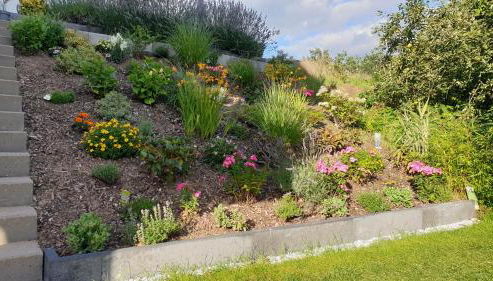 Lillys Garden - Foto 3, Garden