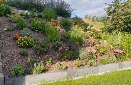 Lillys Garden - Foto 3