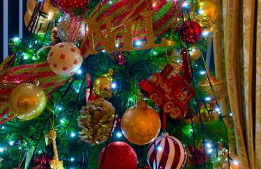 Lime Tree House - Foto 66