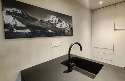 Appartement des Barons - Palais Ansermin - Dimora storica - Foto 25