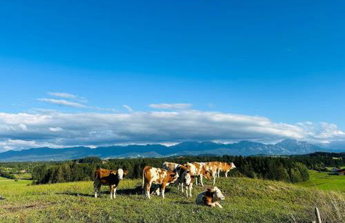 Langegger Alm - Almhütte - Foto 13