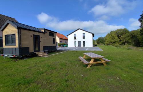 Dauny House - Photo 3