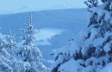 Ferienwohnung-Nr-1 - Photo 11