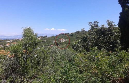 Apartments Belvedere - A3 - Photo 6