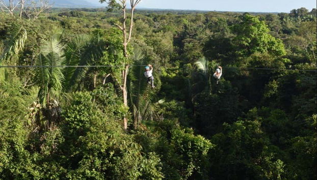Paisagens da floresta tropical
