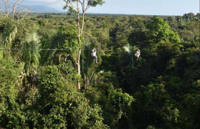 Tirolesa sobre a selva tropical - Foto 4