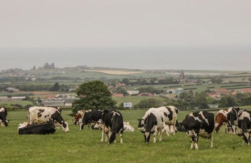 Barn Cottage - Foto 18