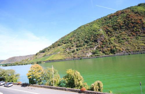 Ferienwohnungen im Moseltal - Foto 11