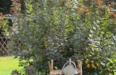 Exklusives Appartement mit Flair - Foto 12