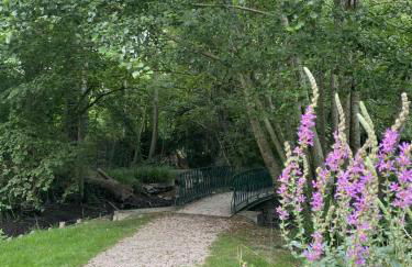 La petite bulle - Foto 7