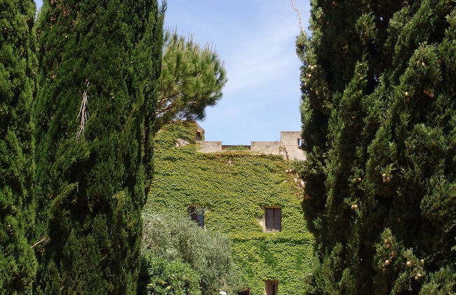 Agriturismo Fattoria Il Casalone - Foto 40