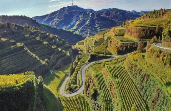 Holiday Apartment Monet in Oberrotweil - Foto 30