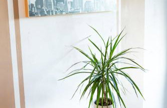 Charmante Ferienwohnung mit sonniger Loggia - Foto 6