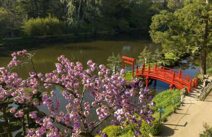 Maison de la Rochejaquelein - Photo 45