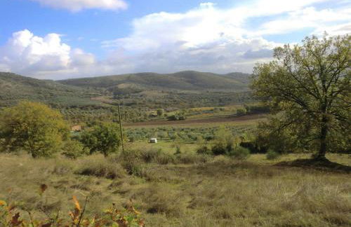 Holiday Home in Pietrafitta Near Lake Trasimeno - Photo 72