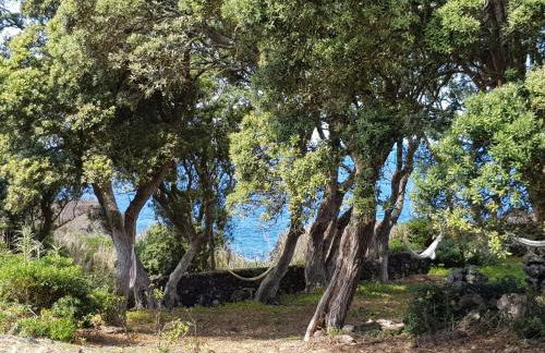 Quinta da Falesia - Casa Branca - Photo 28