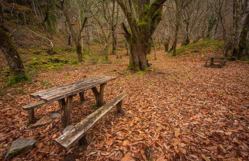 A Casoa II - Foto 49