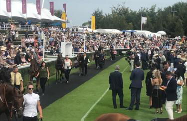 The Hen House - Photo 29