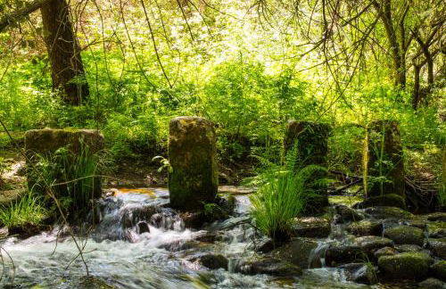 Casa da Avó Tina - Apartamento - Foto 23