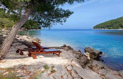 Villa Goga - Photo 55