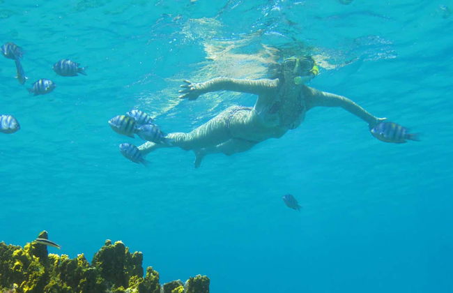 Snorkeling à Praia do Cachorro - Photo 2