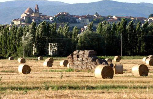 Casa delle Rondini - Photo 36