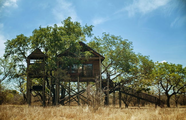 Pezulu Tree House Lodge - Foto 38