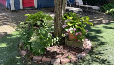 Bristol, RI The Ship of Dreams-Historical District - Foto 5