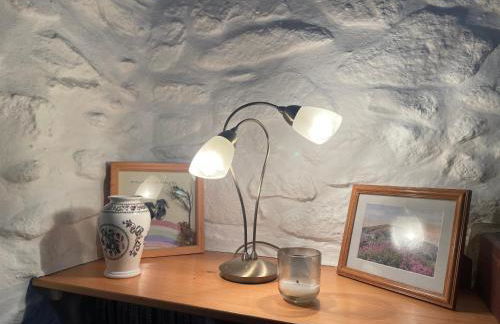 The Dairy @ Trefechan Wen - Photo 8