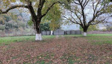 Ktima Karadimou - Foto 2