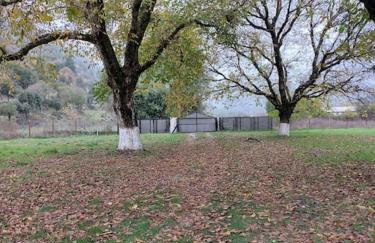 Ktima Karadimou - Photo 2