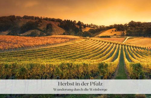 Ferienwohnung "Hannes & Toni", Urlaub in der Pfalz, S-Bahn 2 Min, WLAN & Parkplatz kostenlos, hundefreundlich - Foto 18