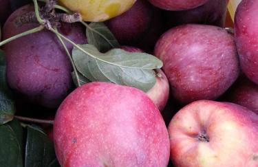 O Ze Ja Dormiu Aqui - Photo 48