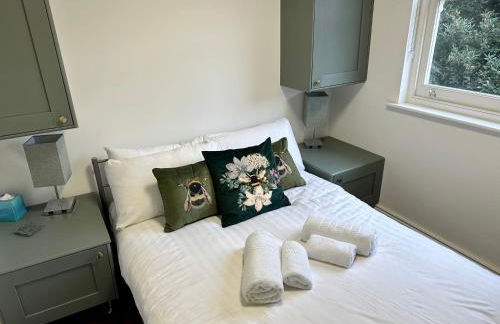 Unique Luxury Home in the heart of London. Air conditioned with private garden - Photo 15