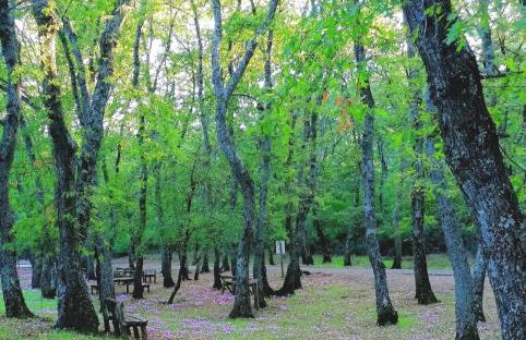 DIMORA HELIANTHUS - Photo 43