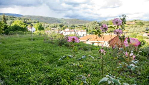 Perla Vera - Country Modern Apartment - Photo 4