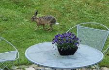 Apartment Seaside - Foto 26