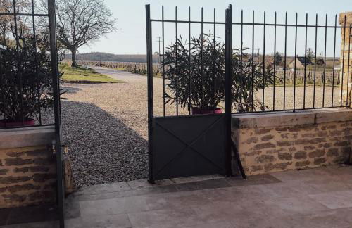 Maison de Pauline, Chablis Vineyard - Foto 29