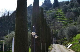 Monte A Pescia - Foto 8