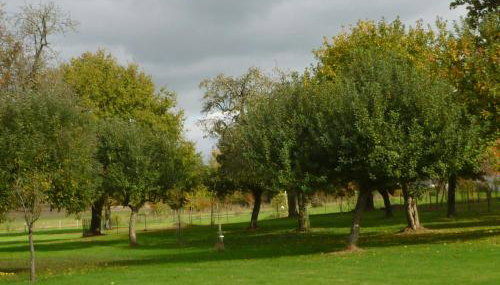 GITE "La Bournillière" - Foto 5, Garden