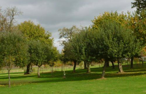 GITE "La Bournillière" - Foto 5