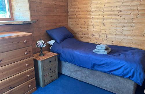 Bryn Rhedyn cottage - Foto 17