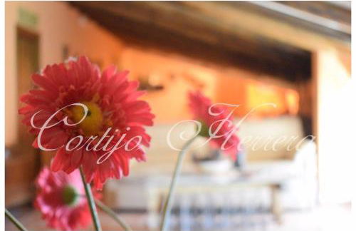 Casa Rural Herrera - Foto 63