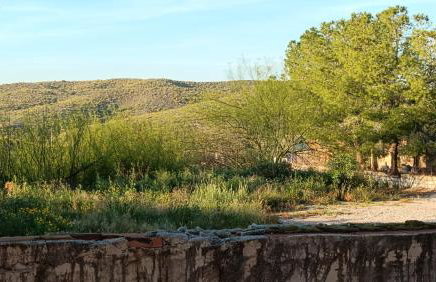 Finca La Senorita - Foto 55