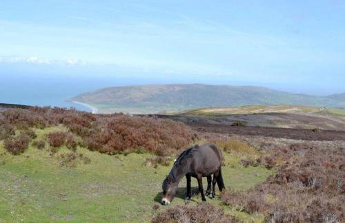 The Annex Rose Cottage - Foto 20