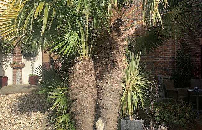 King Canute Apartment - Crown Lettings - Foto 24