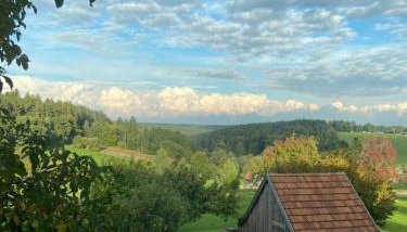 Gemütliches Doppelzimmer mit Balkon und Saunaoption Nordschwarzwald - Foto 4